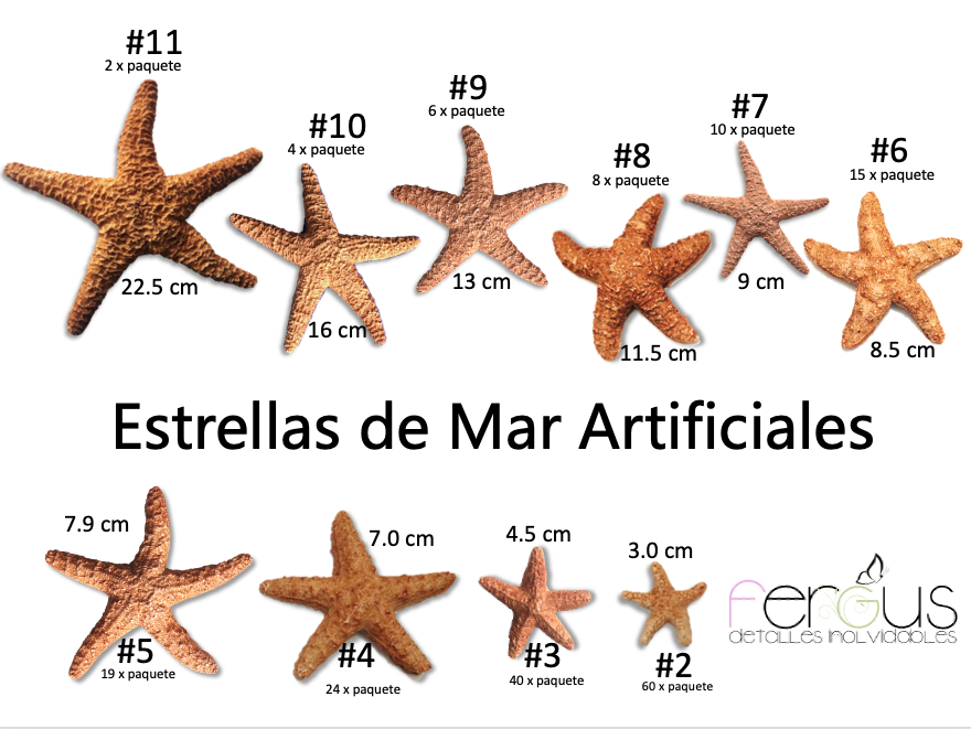 45 tipos de estrellas de mar - Nombres y fotos